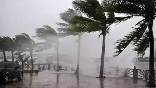 8月臺風雨即將來，除濕機還得用起來
