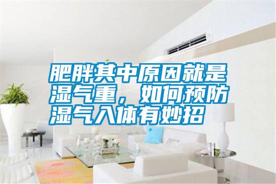 肥胖其中原因就是濕氣重，如何預(yù)防濕氣入體有妙招