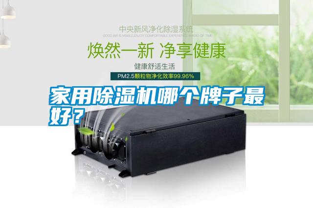 家用除濕機(jī)哪個牌子最好？