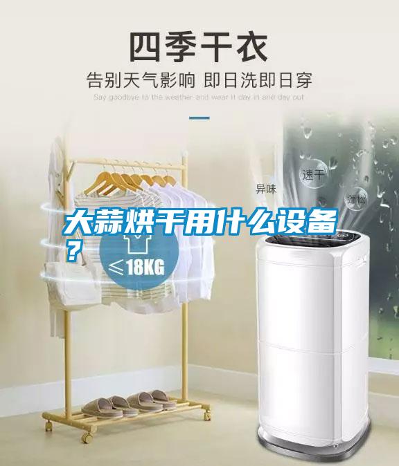 大蒜烘干用什么設備？