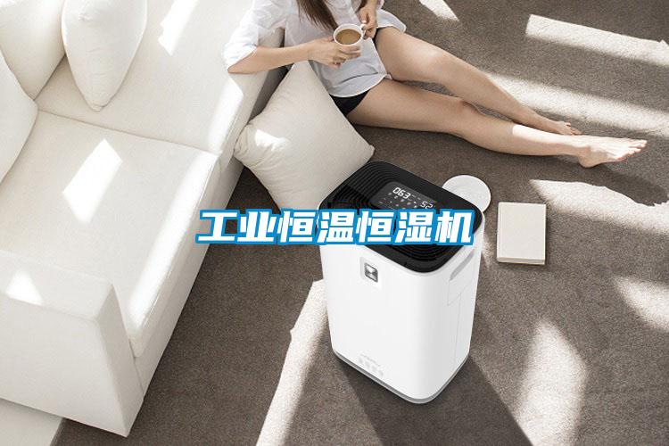 工業恒溫恒濕機