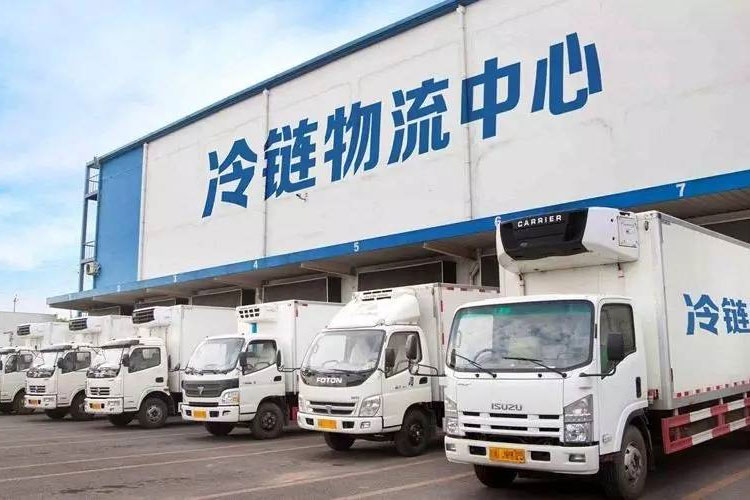冷鏈中的資格認證和驗證有什么區別？_重復