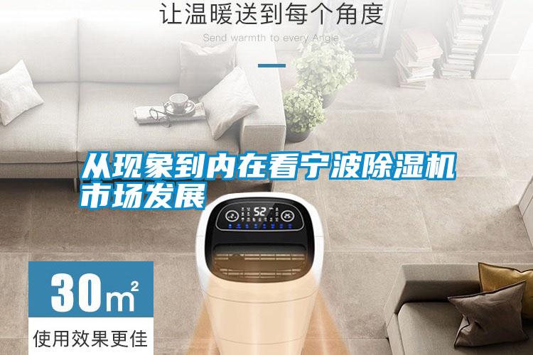 從現象到內在看寧波除濕機市場發展