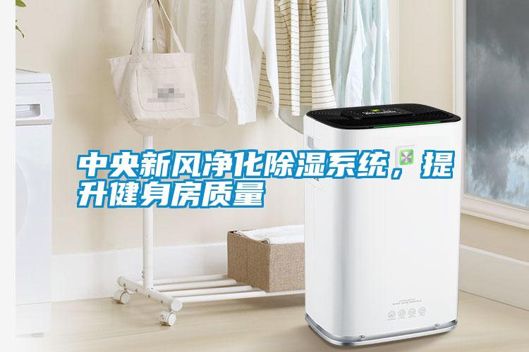 中央新風凈化除濕系統，提升健身房質量