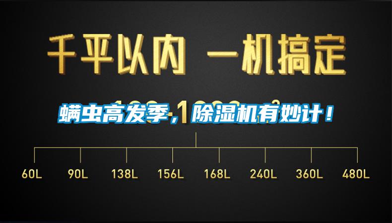 螨蟲高發季，除濕機有妙計！