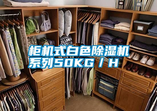 柜機(jī)式白色除濕機(jī)系列50KG/H