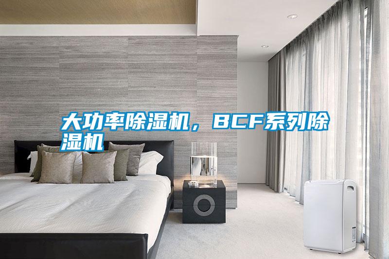 大功率除濕機(jī)，BCF系列除濕機(jī)