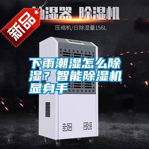 下雨潮濕怎么除濕?智能除濕機顯身手