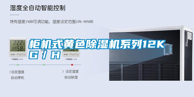 柜機(jī)式黃色除濕機(jī)系列12KG/H