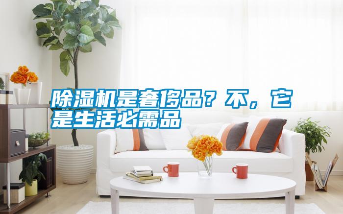 除濕機是奢侈品？不，它是生活必需品