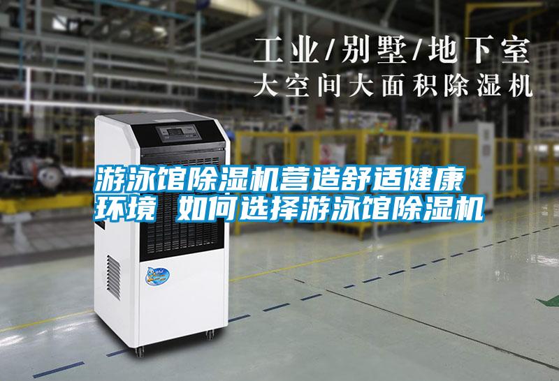 游泳館除濕機營造舒適健康環境 如何選擇游泳館除濕機