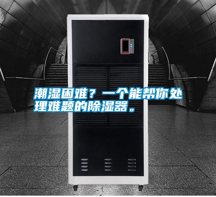 潮濕困難？一個能幫你處理難題的除濕器。