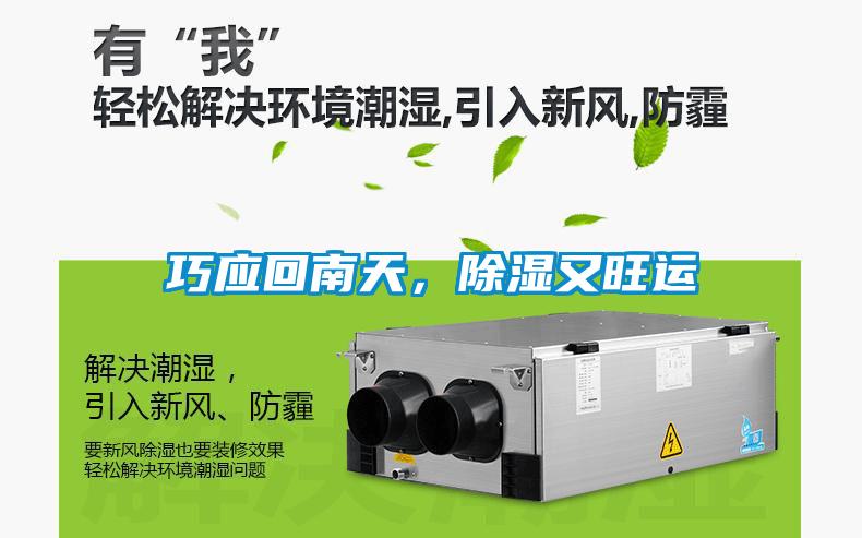 巧應回南天，除濕又旺運
