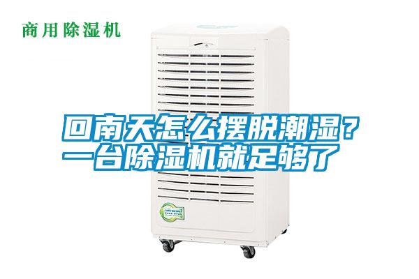回南天怎么擺脫潮濕？一臺除濕機(jī)就足夠了