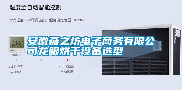 安徽燕之坊電子商務有限公司龍眼烘干設備選型