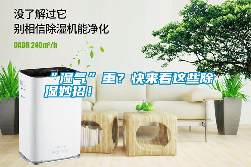“濕氣”重？快來看這些除濕妙招！