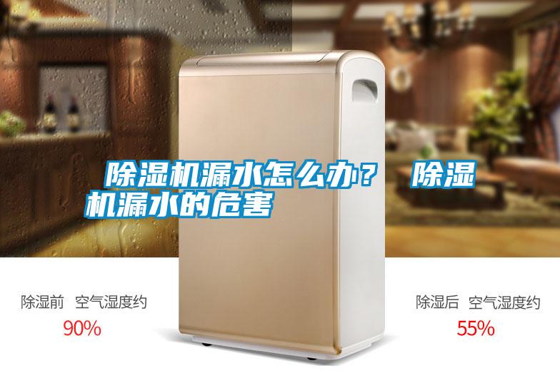  除濕機(jī)漏水怎么辦？ 除濕機(jī)漏水的危害