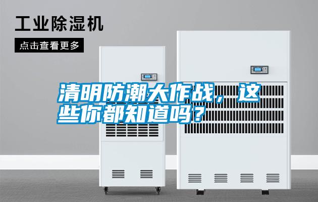 清明防潮大作戰，這些你都知道嗎？