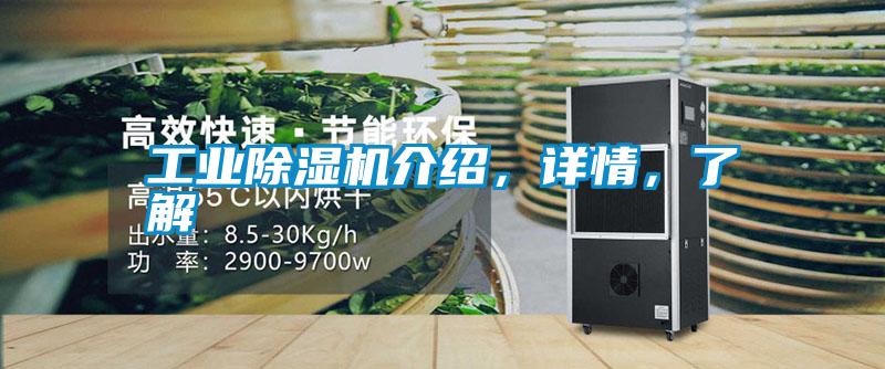 工業除濕機介紹，詳情，了解
