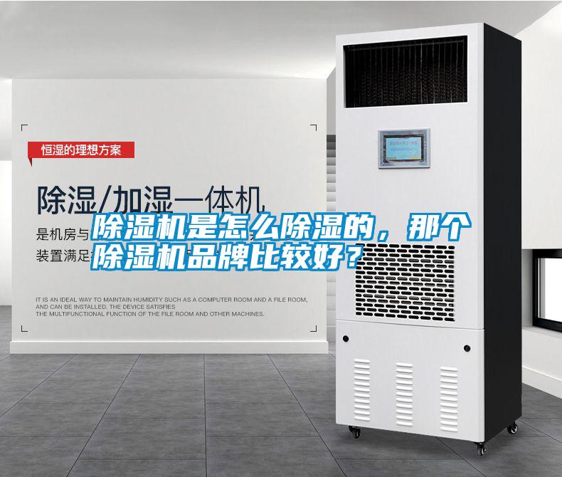 除濕機(jī)是怎么除濕的,那個(gè)除濕機(jī)品牌比較好?