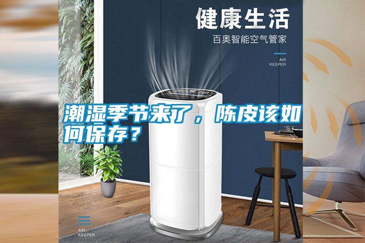 潮濕季節來了，陳皮該如何保存？