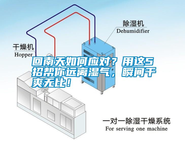 回南天如何應對？用這5招幫你遠離濕氣，瞬間干爽無比！