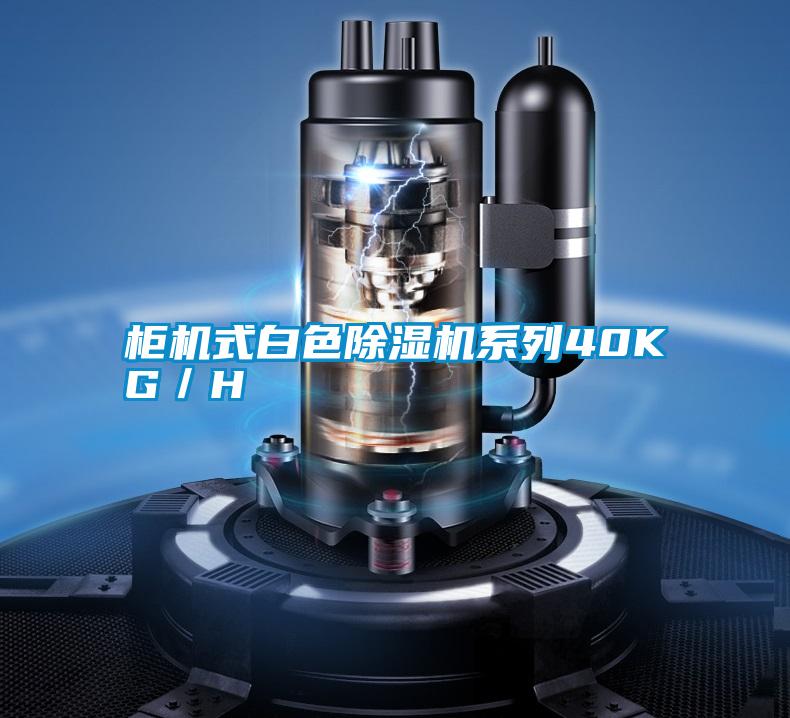 柜機式白色除濕機系列40KG/H