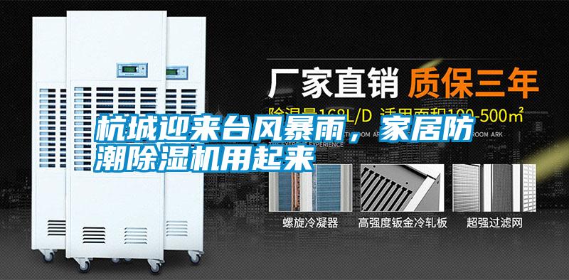 杭城迎來臺(tái)風(fēng)暴雨，家居防潮除濕機(jī)用起來