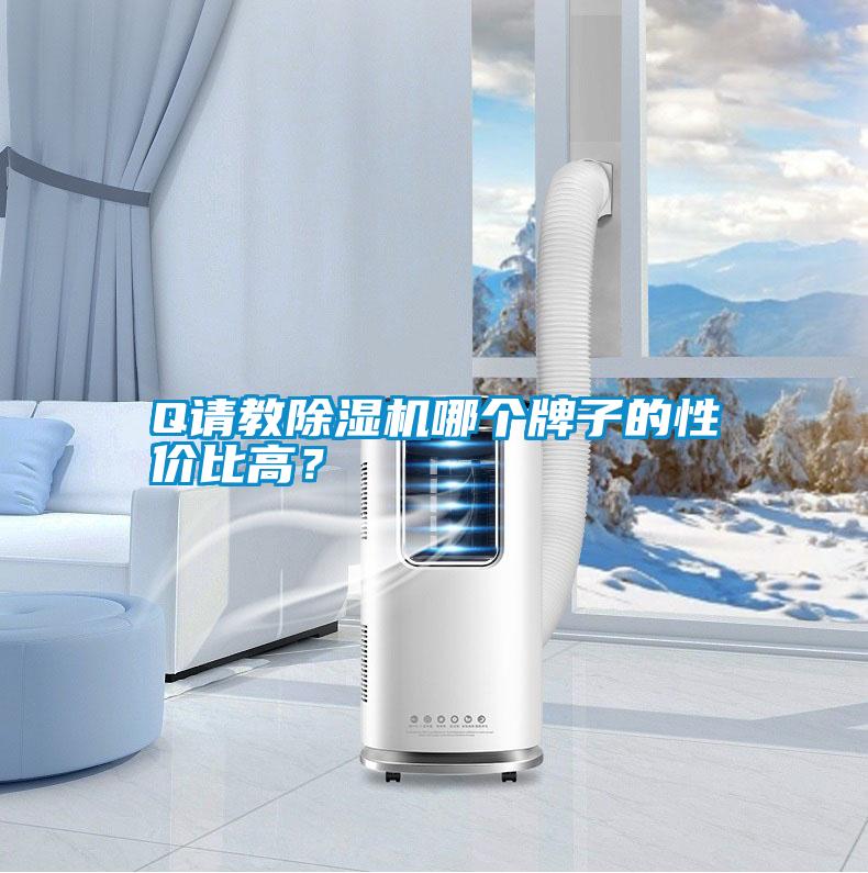 Q請(qǐng)教除濕機(jī)哪個(gè)牌子的性價(jià)比高？