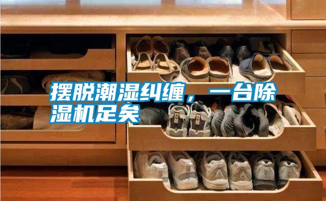 擺脫潮濕糾纏，一臺除濕機足矣