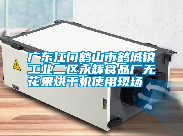 廣東江門鶴山市鶴城鎮工業二區永輝食品廠無花果烘干機使用現場