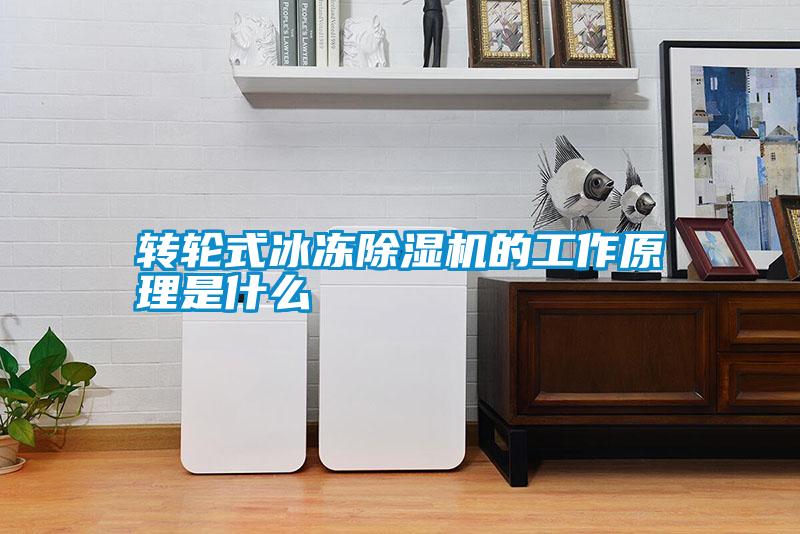 轉輪式冰凍除濕機的工作原理是什么