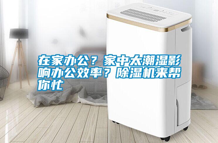 在家辦公？家中太潮濕影響辦公效率？除濕機(jī)來幫你忙