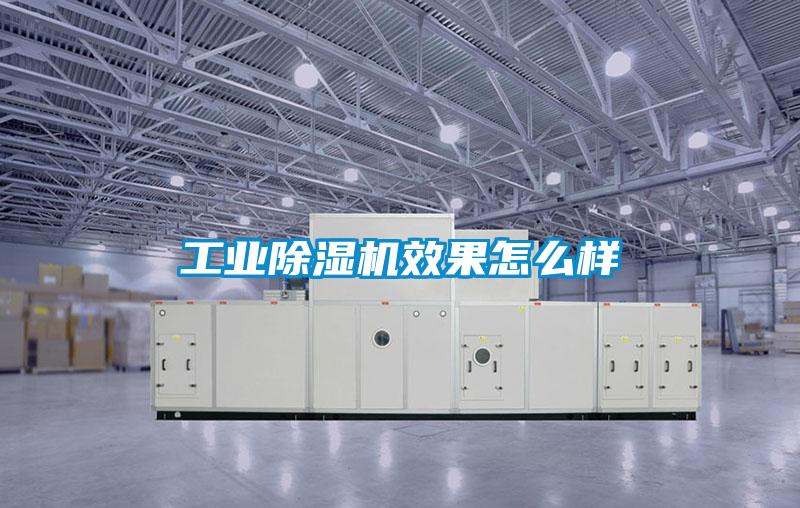 工業除濕機效果怎么樣