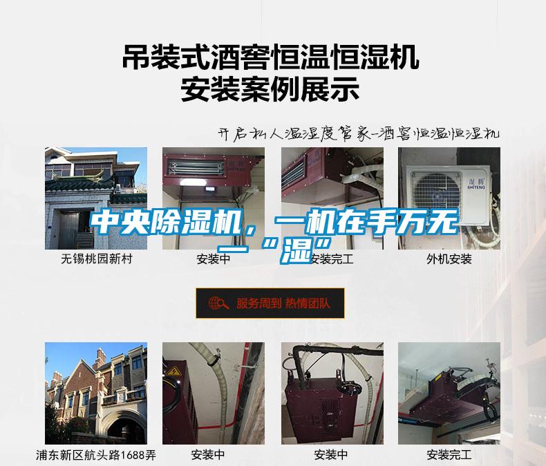 中央除濕機，一機在手萬無一“濕”