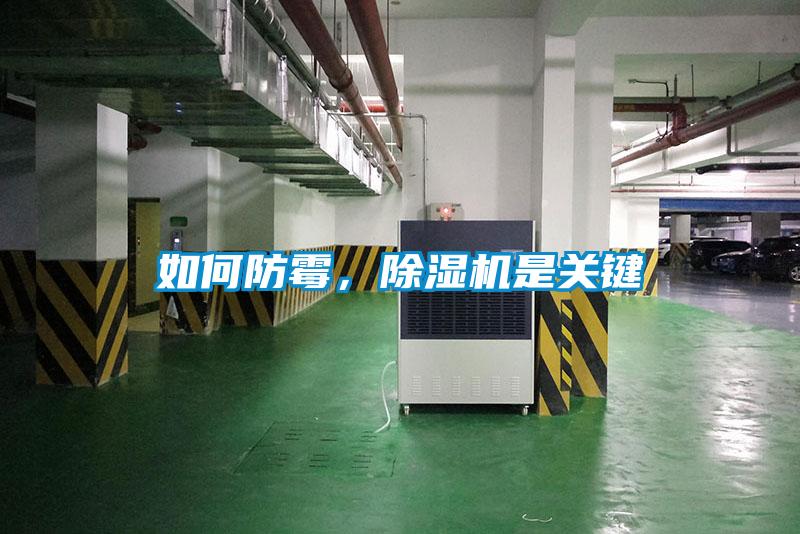 如何防霉，除濕機是關鍵