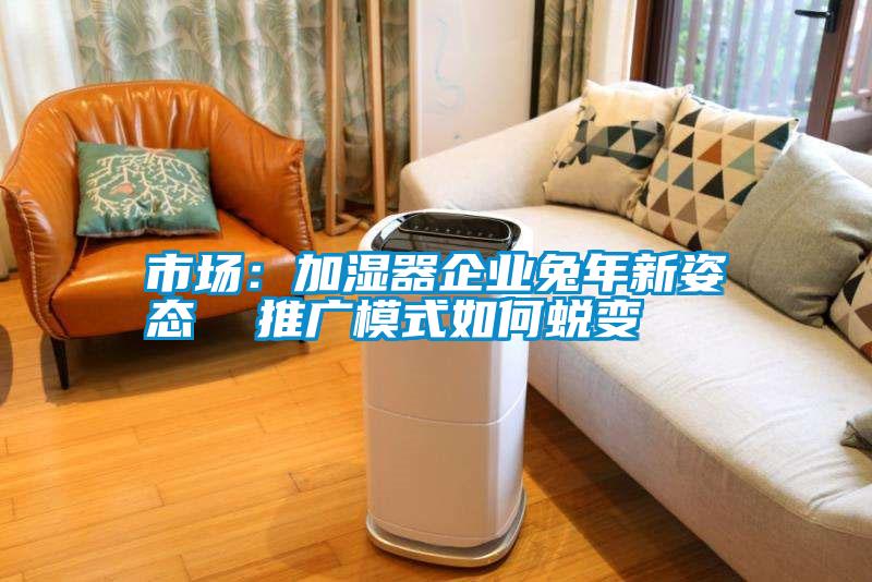 市場：加濕器企業(yè)兔年新姿態(tài)  推廣模式如何蛻變