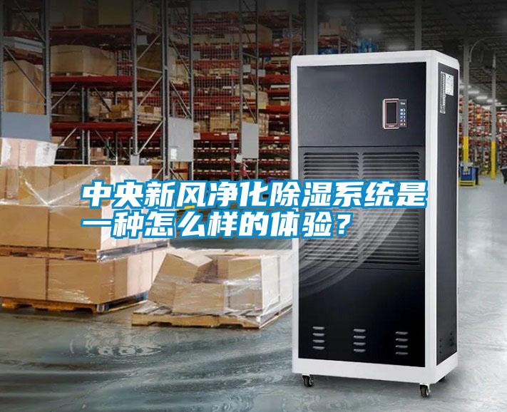 中央新風凈化除濕系統是一種怎么樣的體驗？