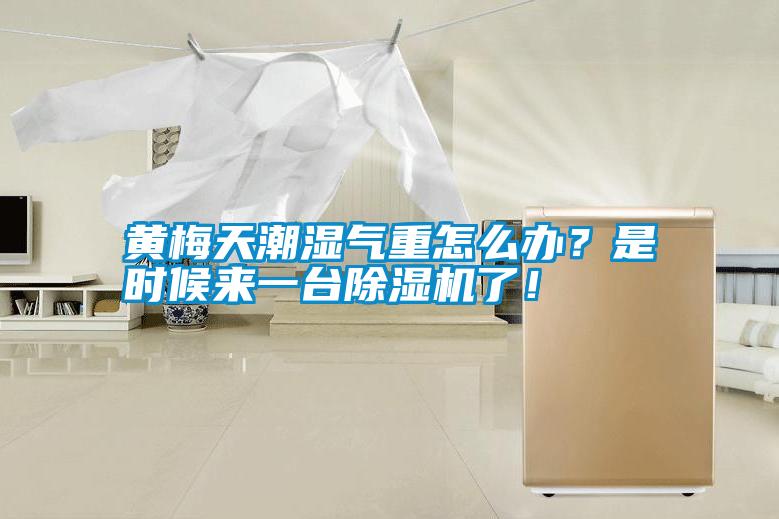 黃梅天潮濕氣重怎么辦？是時(shí)候來(lái)一臺(tái)除濕機(jī)了！