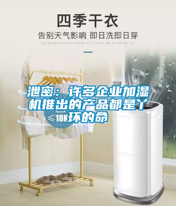 泄密：許多企業加濕機推出的產品都是丫環的命