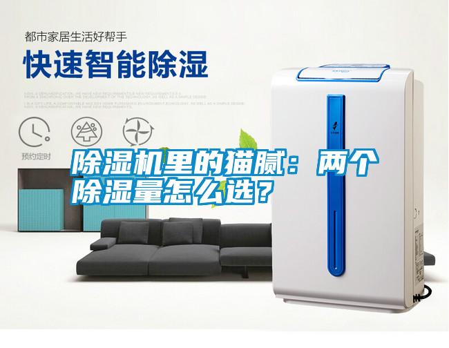 除濕機(jī)里的貓膩：兩個(gè)除濕量怎么選？
