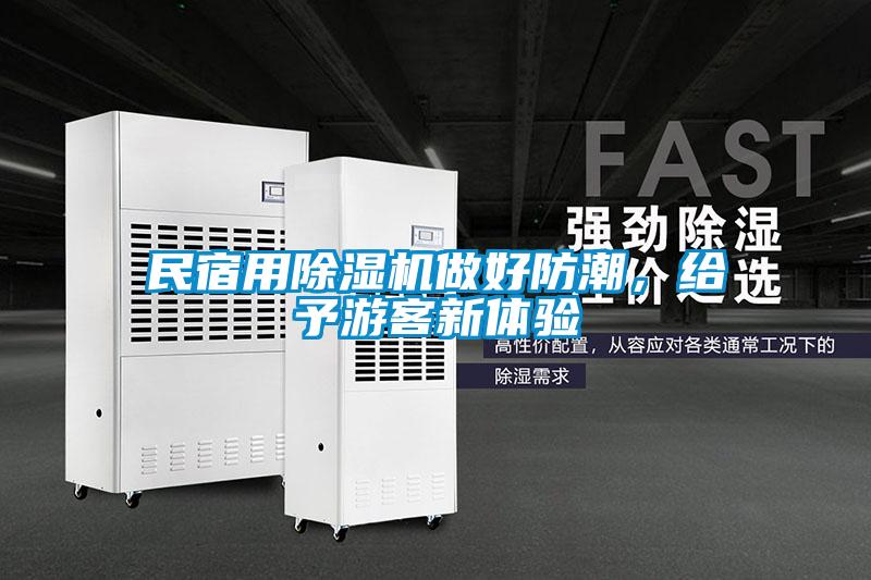 民宿用除濕機做好防潮，給予游客新體驗