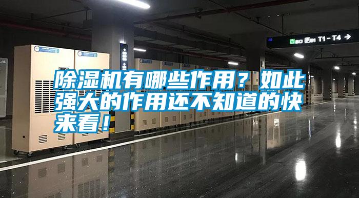 除濕機有哪些作用？如此強大的作用還不知道的快來看！