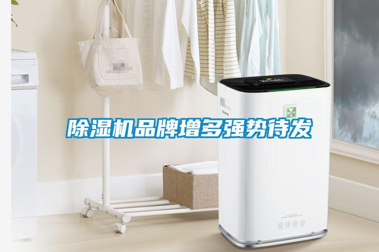 除濕機品牌增多強勢待發