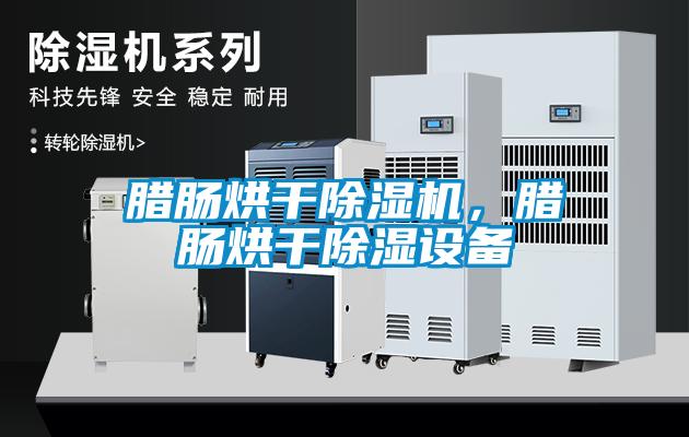 臘腸烘干除濕機，臘腸烘干除濕設備