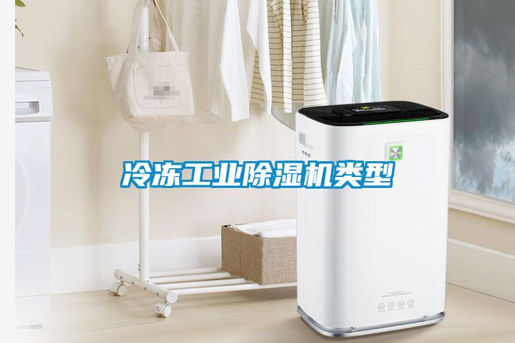 冷凍工業除濕機類型