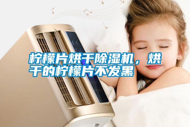 檸檬片烘干除濕機，烘干的檸檬片不發黑