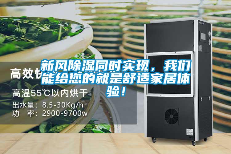 新風除濕同時實現(xiàn)，我們能給您的就是舒適家居體驗！