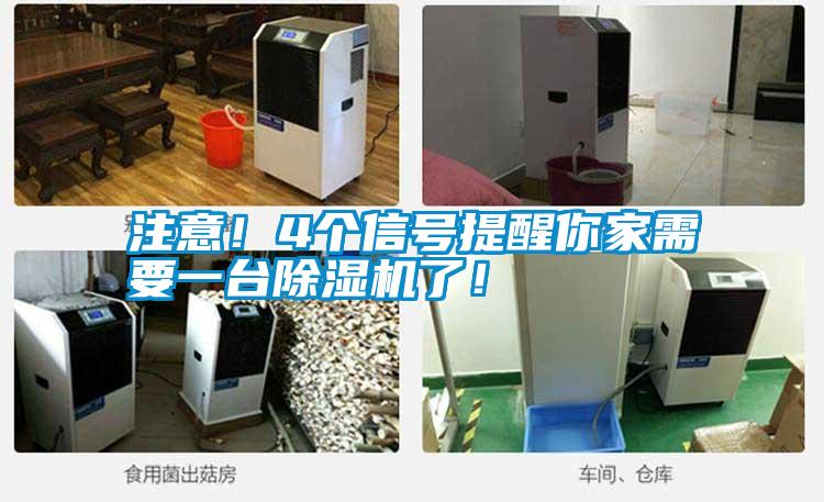 注意！4個信號提醒你家需要一臺除濕機了！