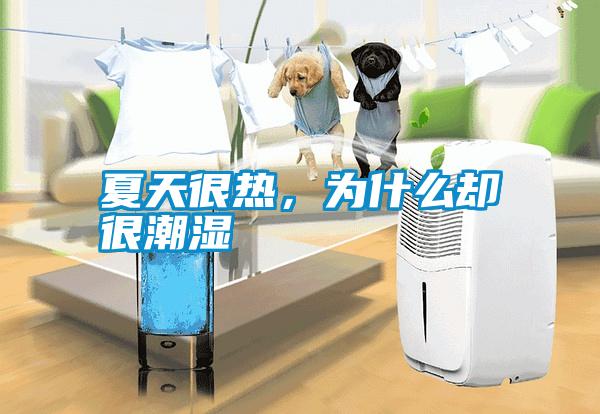 夏天很熱，為什么卻很潮濕